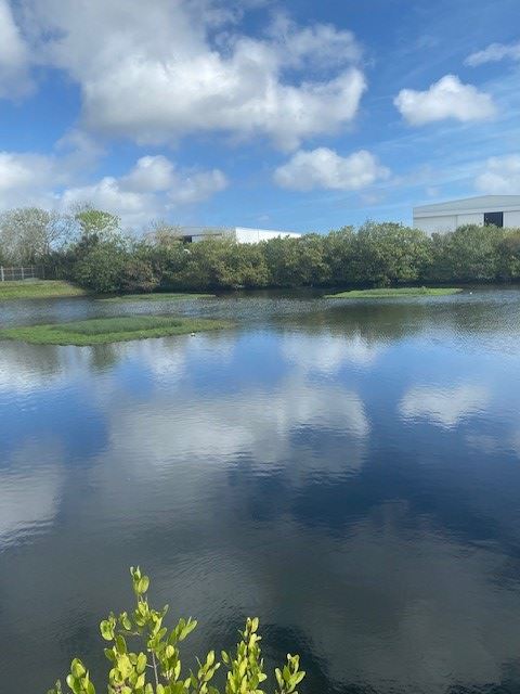 Floating Wetland Island