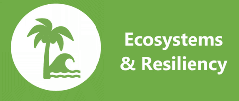 Ecosystems and Resiliency