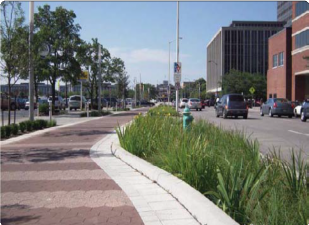Vegetated Swale and Pervious Pavement