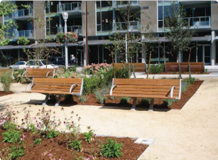Vegetated Swale and Pervious Surface