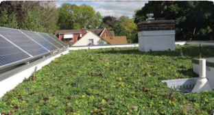 Green Roof and Solar Panel