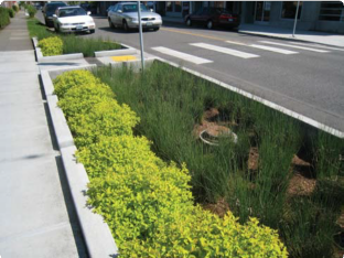 Vegetated Swale