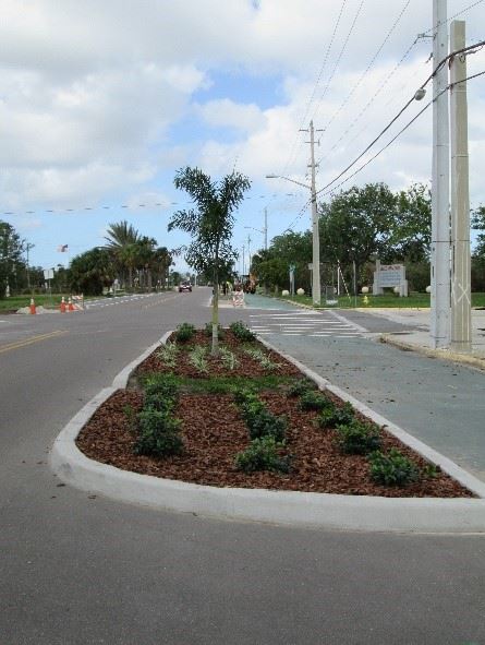 Photo of a curbed island of mulch and vegetation in the middle of a paved road.