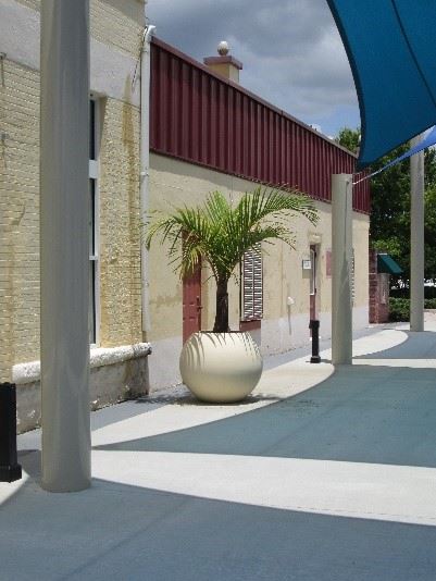 Photo showing a small palm tree in a rounded planter, in a courtyard.