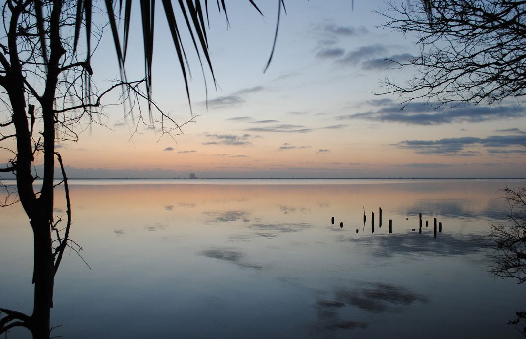 sunrise animal hospital titusville