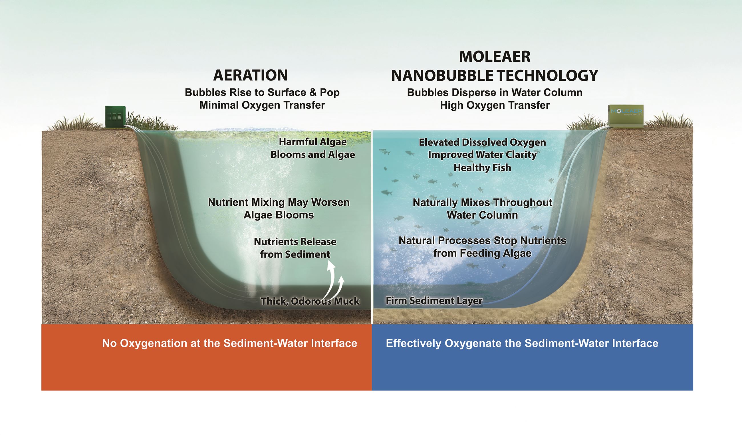 Moleaer_NBs v Aeration 2024 Larger Font